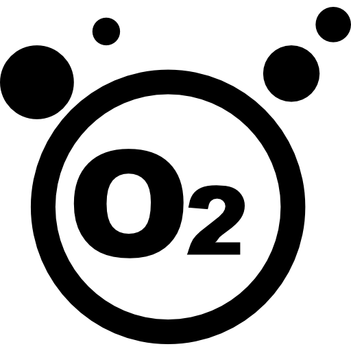 Brain Icon